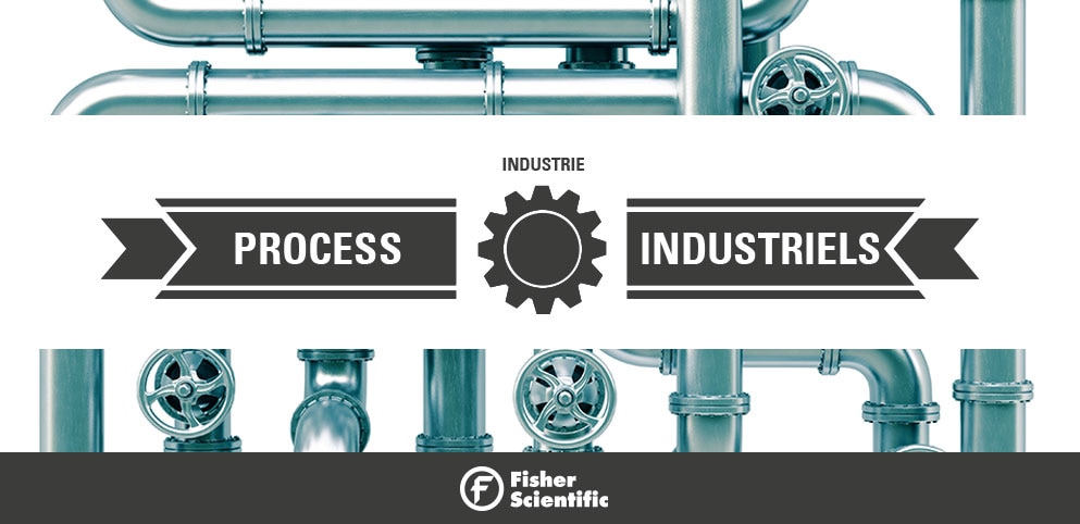 Process Industriels